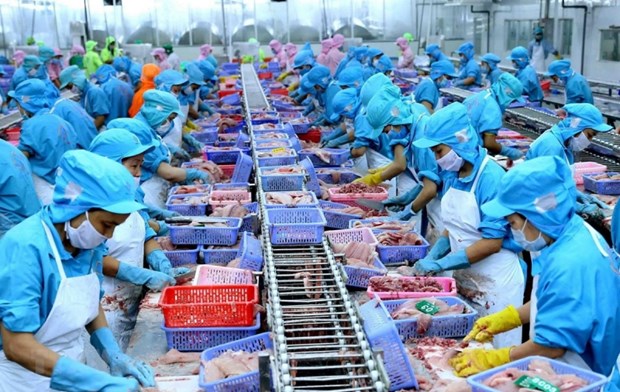 Ciudad Ho Chi Minh traza alta meta para seguridad alimentaria hinh anh 1