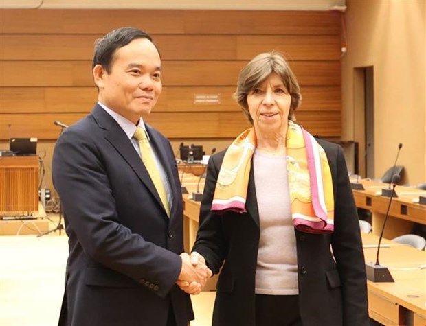 Vicepremier vietnamita se reune con dirigentes de paises y organizaciones internacionales hinh anh 2