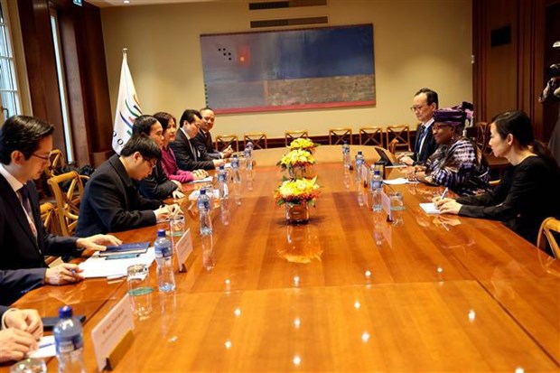 Vicepremier vietnamita se reune con dirigentes de paises y organizaciones internacionales hinh anh 4