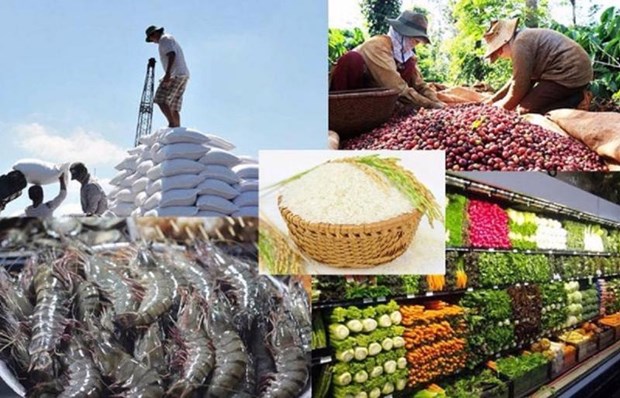 Exportaciones agroforestales y acuaticas vietnamitas disminuyeron en febrero hinh anh 1
