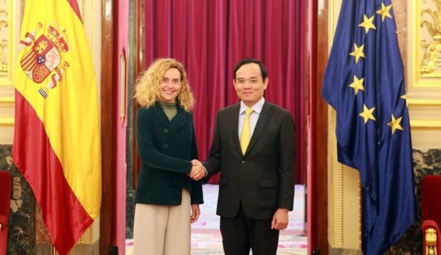 Espana desea impulsar la cooperacion multifacetica con Vietnam hinh anh 1