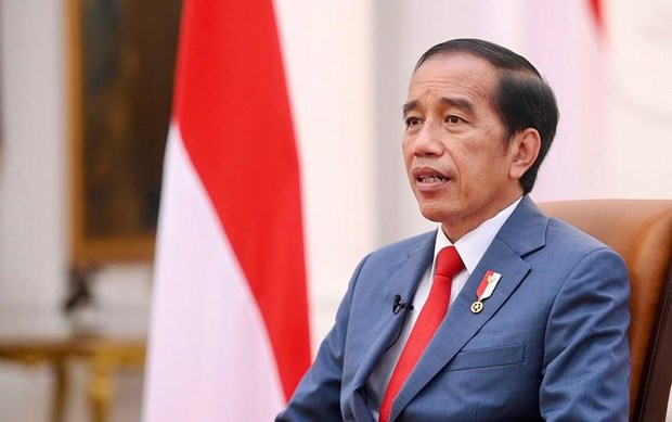 Jokowi: Cambio climatico desencadena mayores preocupaciones que la pandemia hinh anh 1