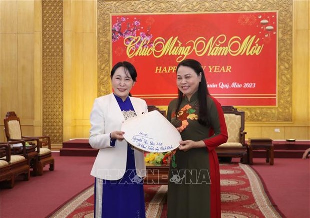 Provincia vietnamita de Ninh Binh desea fortalecer cooperacion con localidades japonesas hinh anh 1