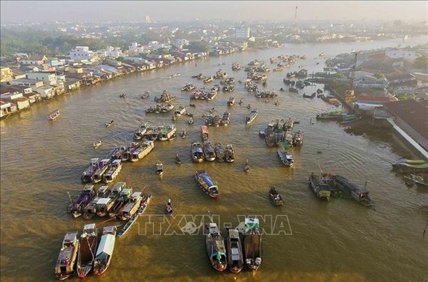 Ciudad vietnamita de Can Tho se esfuerza por recibir 5,2 millones de turistas hinh anh 1