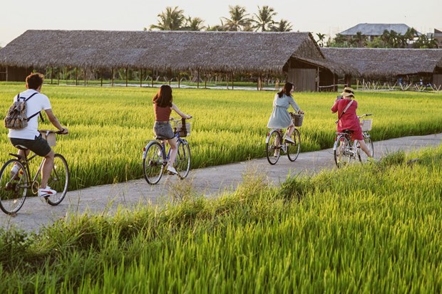 Provincia vietnamita por fomentar turismo agricola hinh anh 1