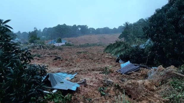 Indonesia: Al menos 10 muertos en deslizamiento de tierra hinh anh 1