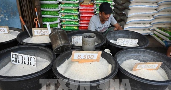 Indonesia enfrentara deficit de arroz en 2023 hinh anh 1