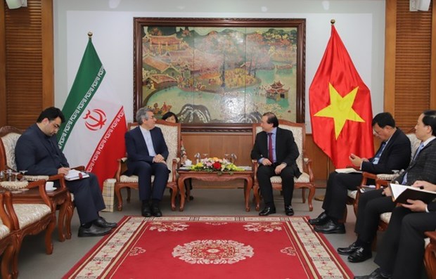 Vietnam e Iran por promover cooperacion cultural, deportiva y turistica hinh anh 1