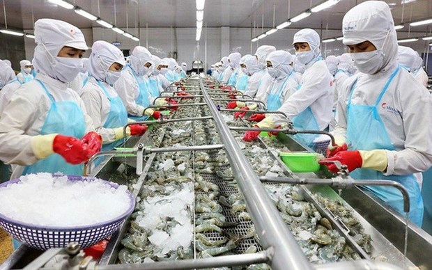 Produccion acuatica de Vietnam alcanza 1,18 millones de toneladas hinh anh 1