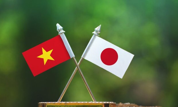 Japon respalda proyectos de educacion y salud en Vietnam hinh anh 1
