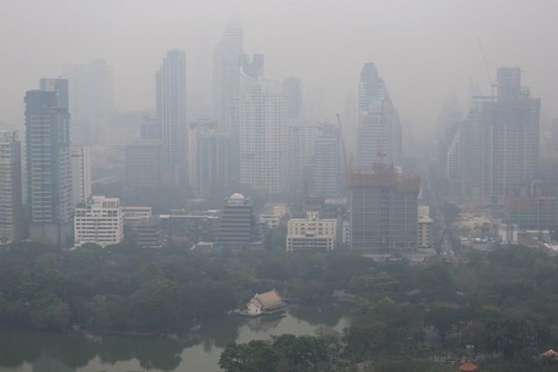 Numerosas provincias tailandesas sufren niveles peligrosos de polvo fino hinh anh 1