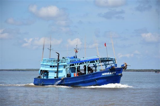 Provincia vietnamita de Quang Tri busca garantizar pesca legal hinh anh 1