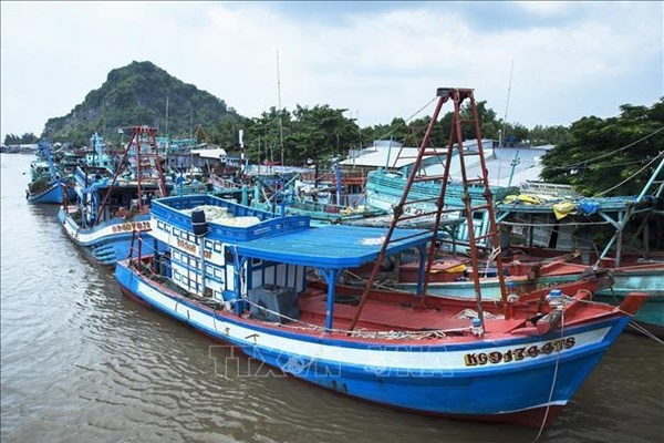 Localidades vietnamitas fomentan acciones contra pesca ilegal hinh anh 1