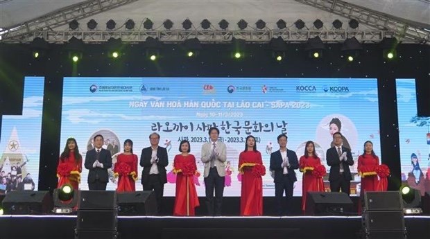 Inauguran Festival Cultural de Corea del Sur en provincia vietnamita hinh anh 1