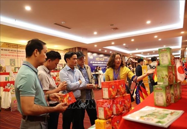 Vietnam promueve cooperacion y comercio internacional de cafe hinh anh 2