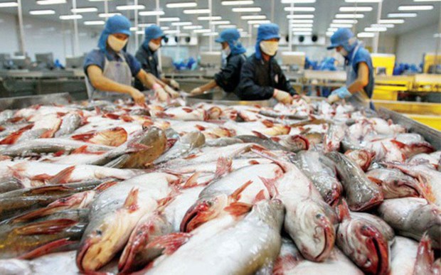 Exportaciones de pescado Tra de Vietnam se recuperaran en tercer trimestre 2023 hinh anh 2