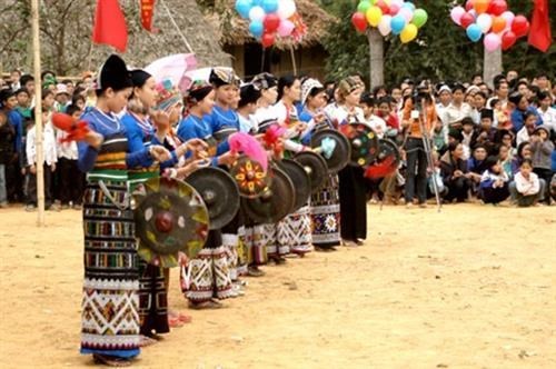 Preservan la cultura unica de minoria etnica Thai en la provincia de Thanh Hoa hinh anh 1