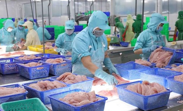 Exportaciones de pescado Tra de Vietnam se recuperaran en tercer trimestre 2023 hinh anh 1