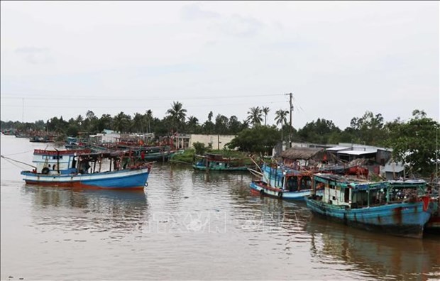 Provincia vietnamita refuerza lucha contra pesca ilegal hinh anh 1