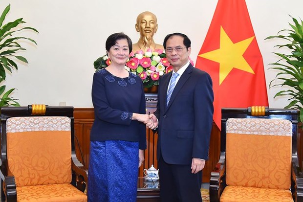 Canciller vietnamita recibe a nueva embajadora camboyana hinh anh 1