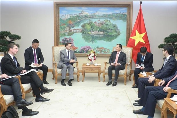 Vicepremier pide buena organizacion de celebraciones por lazos diplomaticos Vietnam-Australia hinh anh 1