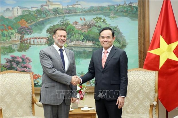 Vicepremier pide buena organizacion de celebraciones por lazos diplomaticos Vietnam-Australia hinh anh 2