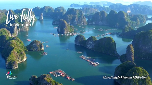 Sitio web de promocion turistica de Vietnam sigue con calificaciones regionales hinh anh 1