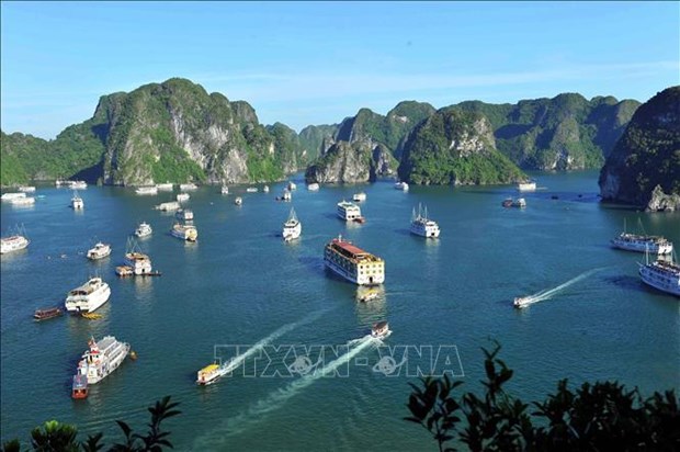 Quang Ninh promueve la explotacion de rutas turisticas en Bahia de Bai Tu Long hinh anh 1