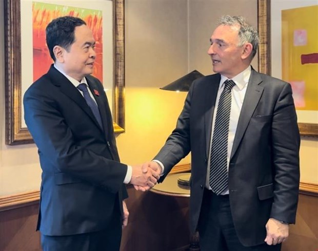 Vicepresidente de Asamblea Nacional de Vietnam visita Espana hinh anh 1