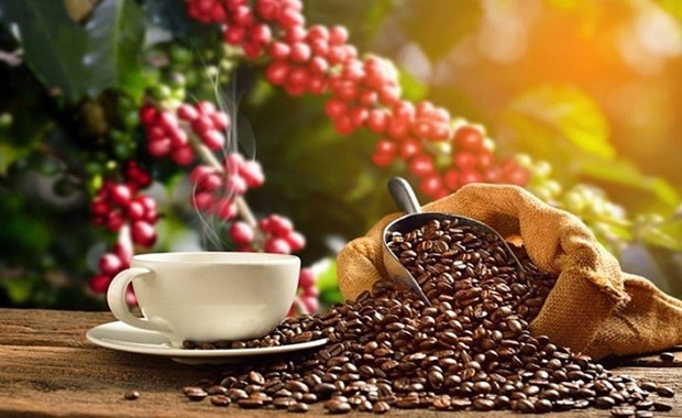 Vietnam es el mayor proveedor de cafe de Espana hinh anh 2