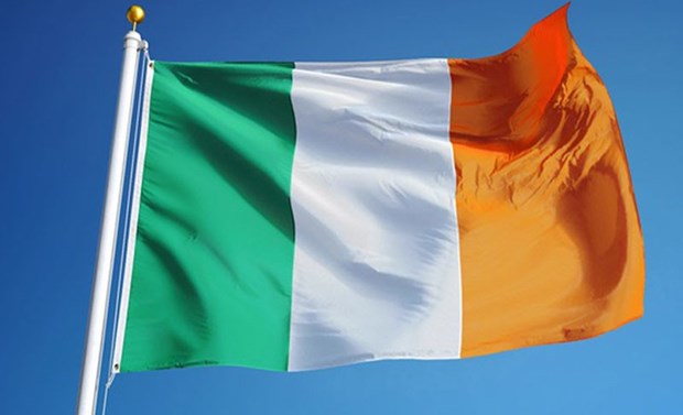 Vietnam felicita a Irlanda por el Dia de San Patricio hinh anh 1