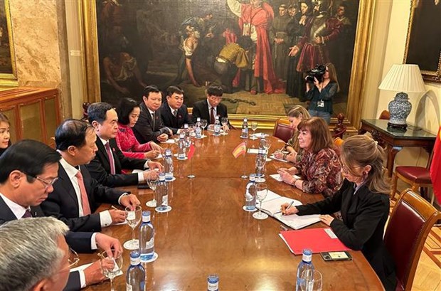 Vietnam y Espana promueven nexos de cooperacion parlamentaria hinh anh 2