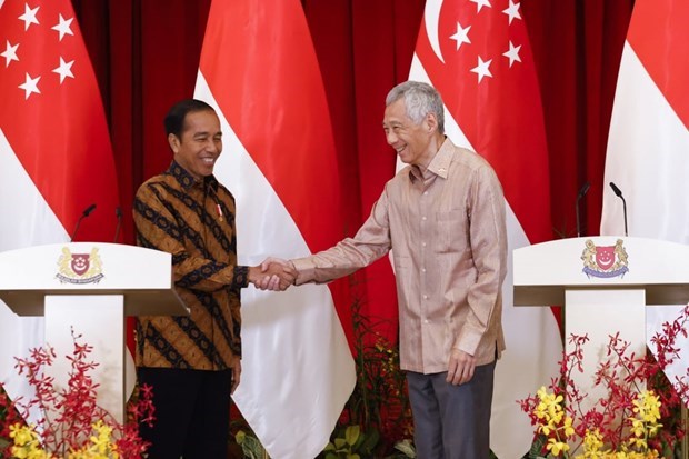 Indonesia espera inversiones singapurenses en construccion de nueva capital hinh anh 1