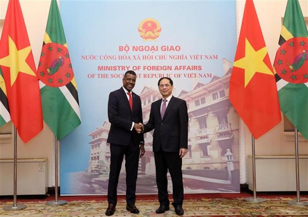 Vietnam y Republica Dominica estrechan relaciones bilaterales hinh anh 1