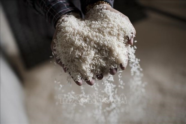 Indonesia podria importar otras 500 mil toneladas de arroz en 2023 hinh anh 1