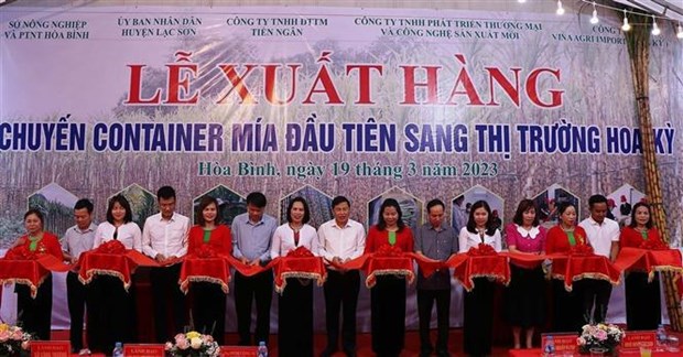 Provincia vietnamita exporta primer lote de cana de azucar fresca a Estados Unidos hinh anh 1
