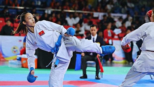 Equipo de karate de Vietnam conquista primer lugar en Torneo regional hinh anh 2