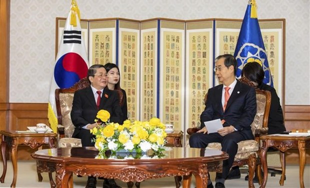 Vietnam y Corea del Sur abogan por desarrollo fuerte de relaciones hinh anh 1