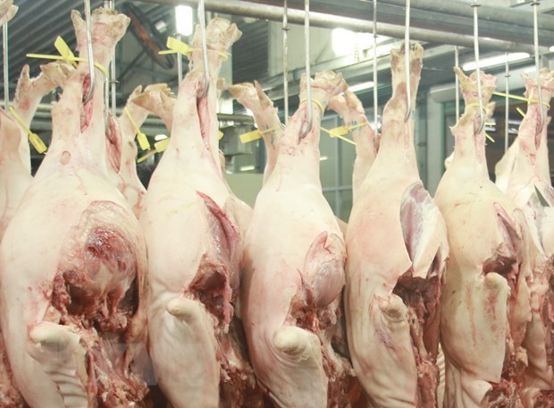 Laos suspende importaciones de carne de cerdo de Vietnam hinh anh 1