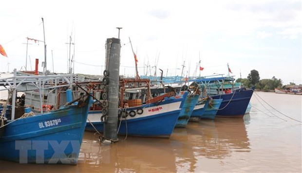 Bac Lieu despliega medidas drasticas para combatir la pesca ilegal hinh anh 1