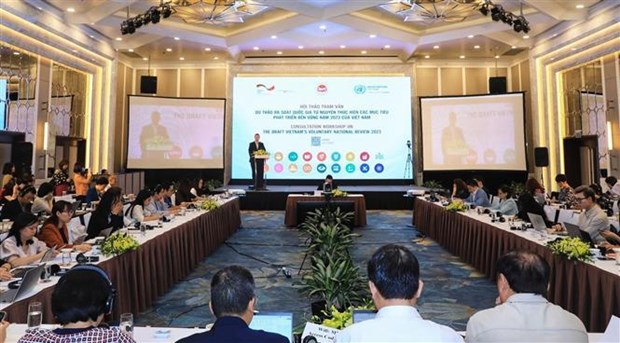 Analizan en Vietnam informe de revision de Objetivos de Desarrollo Sostenible hinh anh 1
