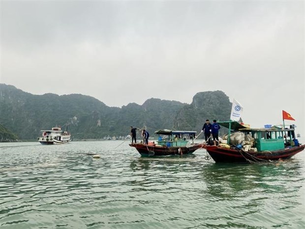 Ciudad de Ha Long se esfuerza por reducir contaminacion marina hinh anh 1