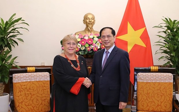 Vietnam valora su asociacion integral con Chile, afirma canciller hinh anh 1