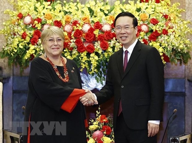 Presidente vietnamita dialoga con exmandataria chilena hinh anh 1