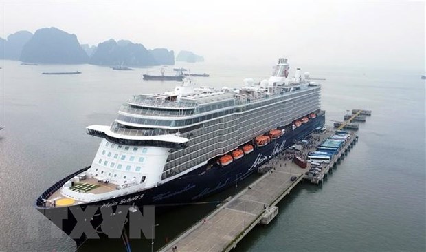 Crucero trae mas de dos mil visitantes internacionales a Ha Long hinh anh 1