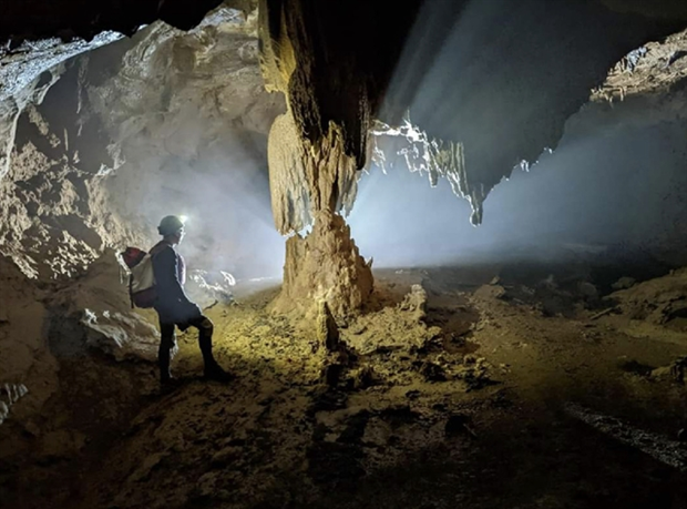 Descubren otras cinco cuevas en provincia vietnamita de Quang Binh hinh anh 1