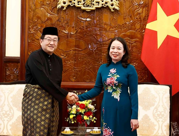 Embajador Dato Tan Yang Thai: Vietnam, un socio mas cercano de Malasia hinh anh 1