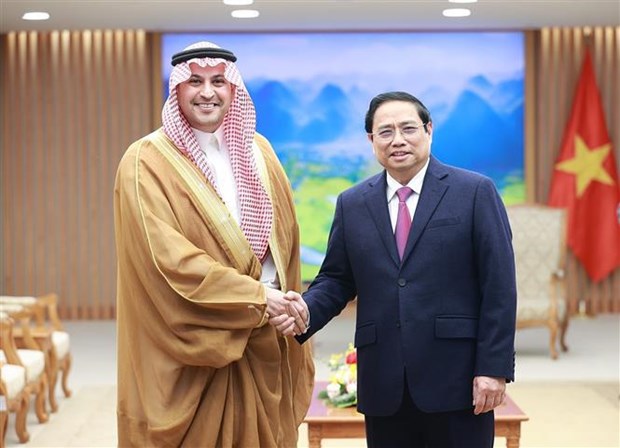 Patentiza Vietnam deseo de fomentar cooperacion con Arabia Saudita hinh anh 2