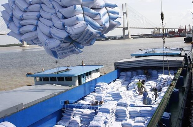 Vietnam espera exportar siete millones de toneladas de arroz este ano hinh anh 1
