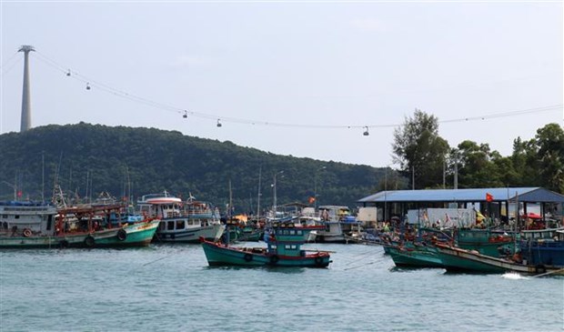 Vietnam toma medidas contra desactivacion de dispositivos de seguimiento de barcos hinh anh 1